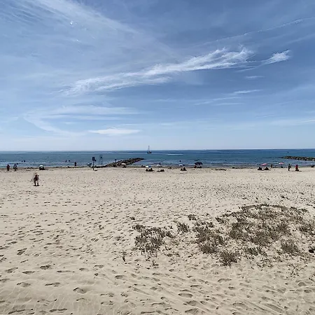 Sur Plage, Parking, Animaux Ok - 2 Pers. Vue - Fr-1-715-116 *
